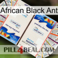 African Black Ant kamagra1